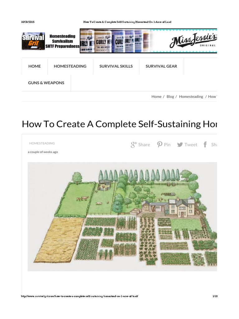 How To Create A Complete Self-Sustaining Homestead On 1-Acre of Land ...