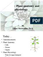 Lecture 3: Plant Anatomy and Physiology