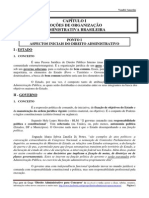Aspectos Iniciais Do Direito Administrativo e Noções de Organização Administrativa Brasileira