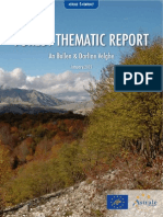 Forest Thematic Report