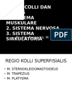 Sistema Muskulare 1