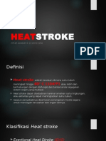 Heatstroke power point