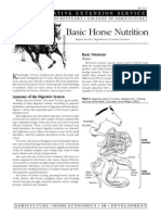 123603214 Basic Horse Nutrition
