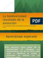 Biodiversidad: Resultado de La Evolción