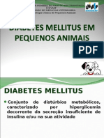 Diabetes Mellitus Em Cães