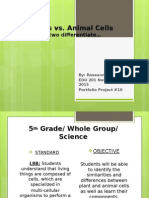 Portfolio Project 10 Cells