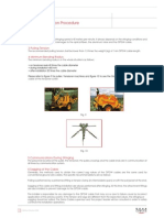 OPGW Installation Procedure: 2 Stringing Speed