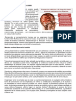 La Neurociencia Del Cambio