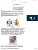 Paragonimosis o Paragonimiasis- Recursos en Parasitología - Unam (Checked)