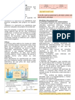 REsumo de Eletroquímica