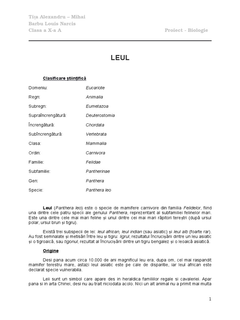 Leul | PDF
