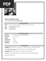 Karim Salah Eldin Senior Video Editor and Motion Graphic Specialist