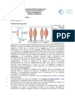 Biofísica Muscular