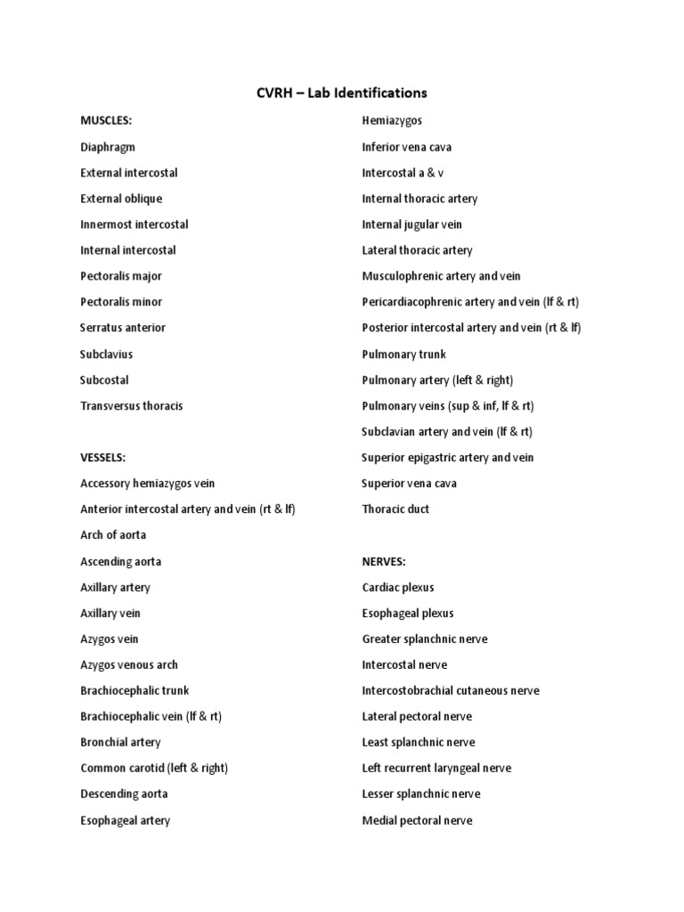 CVRH Lab Identifications | PDF | Art