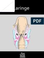 2012-04-06_laringe_
