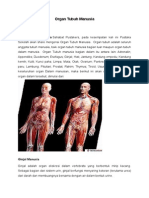 Download Artikel Organ Tubuh Manusia by sahrul budiman SN292048271 doc pdf