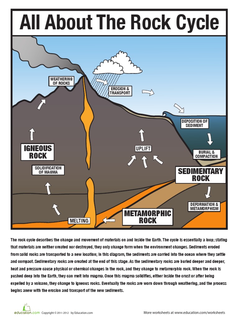 Rock Cycle Quiz | PDF | Sedimentary Rock | Rock (Geology)