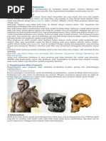 Download manusia purba di indonesiapdf by Rina Rohmawati SN292056111 doc pdf