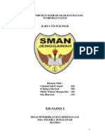 Pertumbuhan Primer Pada Kecambah