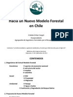 Bosque de Chile