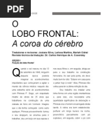 PROOF POSITIVE - Capitulo 12 - Lobo Frontal -