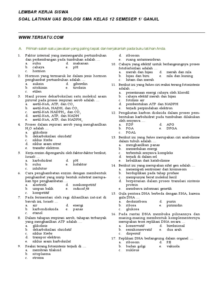 Soal Uas Biologi Kelas 12 Semester 1 Ganjil