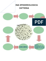 Cadena Epidemiologica