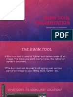 Burn Tool Presentation 1