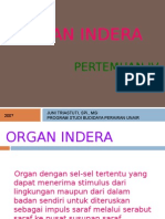 4organ Indra