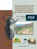 Guia de Insectos PDF