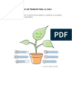 Ficha de Trabajo para La Casa - Las Partes de Las Plantas