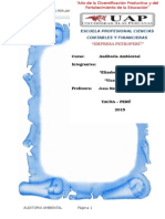 Informe Empresa Petroperú - Auditoria Ambiental