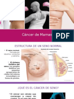 Cancer de Seno (Presentacion)