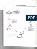 Practica Proteinas Organica 1