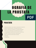 libreta prostata