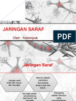 JARINGAN SARAF