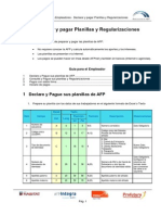 Guia de Usuario - Declarar y Pagar Planillas y Regularizaciones PDF