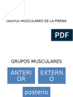 Grupos Musculares de La Pierna