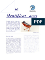 Cómo Identificar Aves