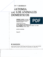 Anatomia de Los Animales Domesticos Sisson 2