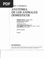 Anatomía visual data 8