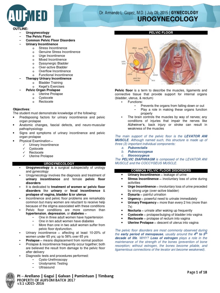 Urogynecology: Understanding Incontinence | PDF | Urinary Incontinence ...