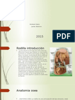 Lesiones Oseas y Meniscales de La Rodillla 2da Parte