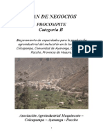 Plan de Negocio Procompite 2013