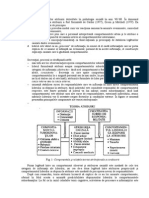 Teorii Ale Conducerii (1) Psihologia Manageriala