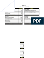 PTV Ltd. Balance Sheet 2009