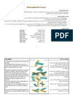 Wood Joints - الوصلات الخشبية