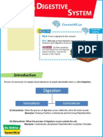 CH 4 Digestive System