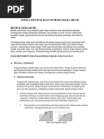 Download Aneka Bentuk Dan Potensi Muka Bumi by Agus Dian Pratama SN29227525 doc pdf