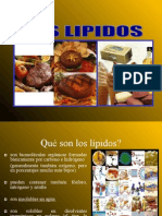 LIPIDOS